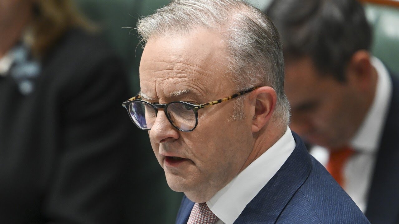 'Clown show': The absolute 'shambles' that is the Albanese government