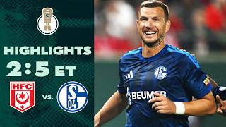 Schalke settles it late! | Hallescher FC vs FC Schalke 04 2-5 | Highlights | DFB-Pokal first round