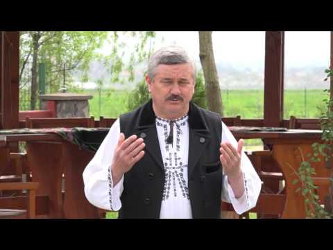 NELU PĂUCEAN - MAMA MEA CU PĂR CĂRUNT