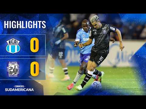 bg-highlight