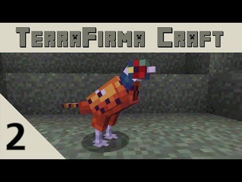 TerraFirma Craft  -ep 2- TRICKY ORES
