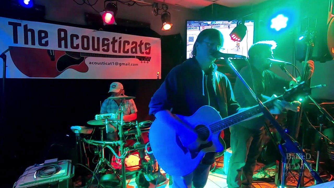 Hire The Acousticats Classic Rock Band in Halifax, Nova Scotia