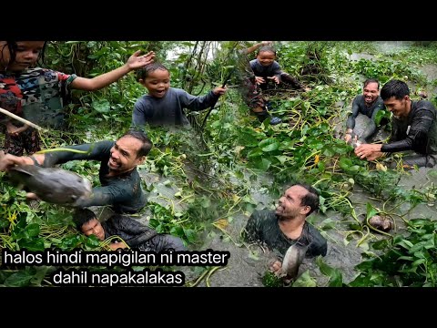 Grabe 'to Hindi kami makapaniwala nag tatago sa ilalim ng kangkungan Ang malalaking dalag