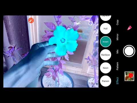 Color Changing Camera Video