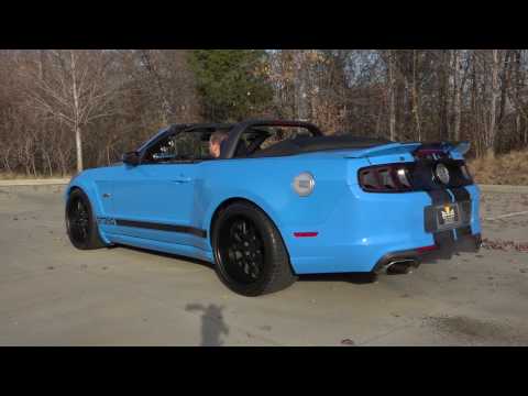 2013 Ford Mustang GT350 (CC-930790) for sale in Charlotte, North Carolina