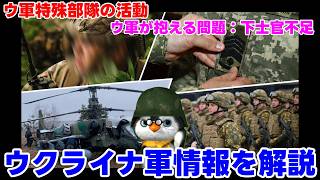 【ウクライナ情勢】ペンギン閣下が色々解説放送【軍事ニュース&雑談】