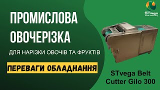 Нарізка слайсами, кубиками кабачкків, огірків, перцю vegetable cutting machine for sale - Image 4 | Machineryline NG New Нарізка слайсами, кубиками кабачкків, огірків, перцю vegetable cutting machine | Image 4 - Machineryline