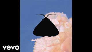 Chairlift - Moth to the Flame (Whatever/Whatever Remix) [Audio]