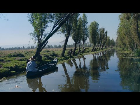 Novo Amor 565 Fund - 'Anatome' Film by Adriana Carrandi (Interviews)