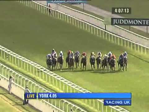 York Ebor Festival 2010 - Sportingbet.com Nursery