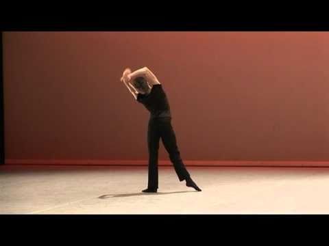 Selections 2010 - Contemporary Variation - Ivan Palenskis