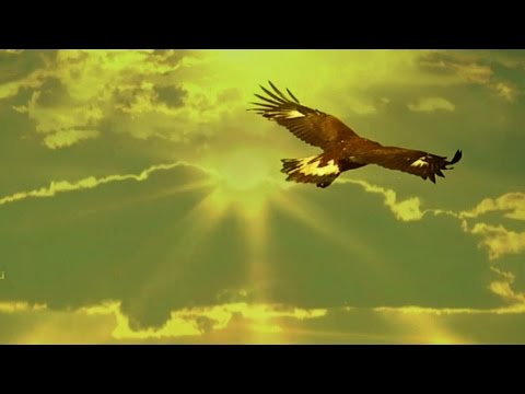 LEO ROJAS  -  El Condor Pasa - Matsuri