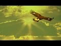 LEO ROJAS  -  El Condor Pasa - Matsuri