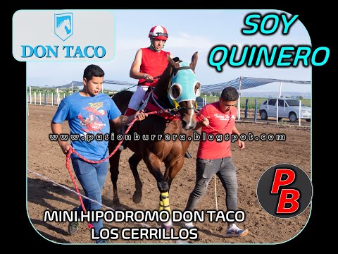 SOY QUINERO   Mini Hipodromo Don Taco, Los Cerrillos (10-10-2021)