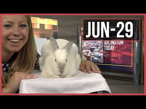 Arlington Today | Thursday | June 29