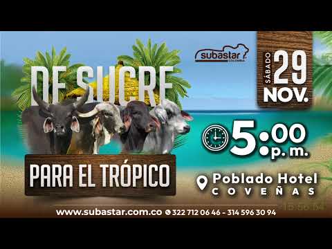 Subasta Virtual - Presencial Sampués (E)48 21/11/2025