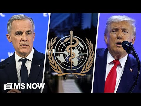 Trump on the world stage: 'We are no longer the good guys'