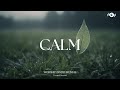CALM Soaking Worship Instrumental Prayer And Devotional