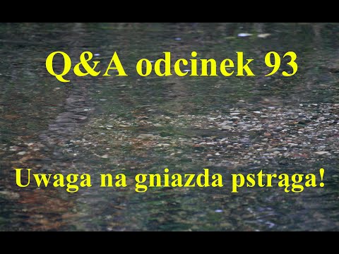 Q&A odcinek 93 - Uwaga na gniazda pstrąga!