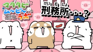 まさか…からめるさんの地元の駅…? - 人生は監獄と見つけたり。【マタタビムービーラボ】