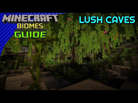 Sweeney Dunston - Lush Caves - Minecraft Biomes Guide