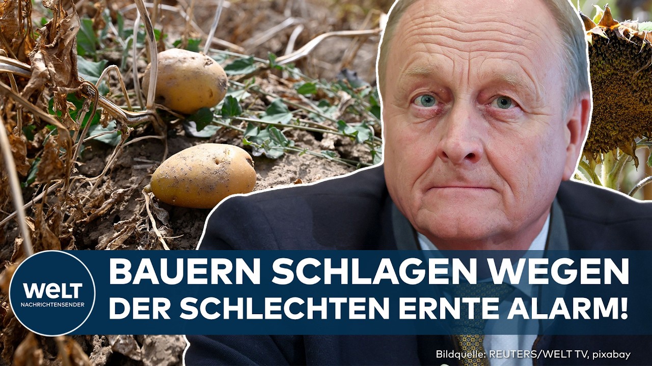 ERNTE-SCHOCK IN DEUTSCHLAND: Bauern schlagen wegen Hitze und Dürre Alarm!