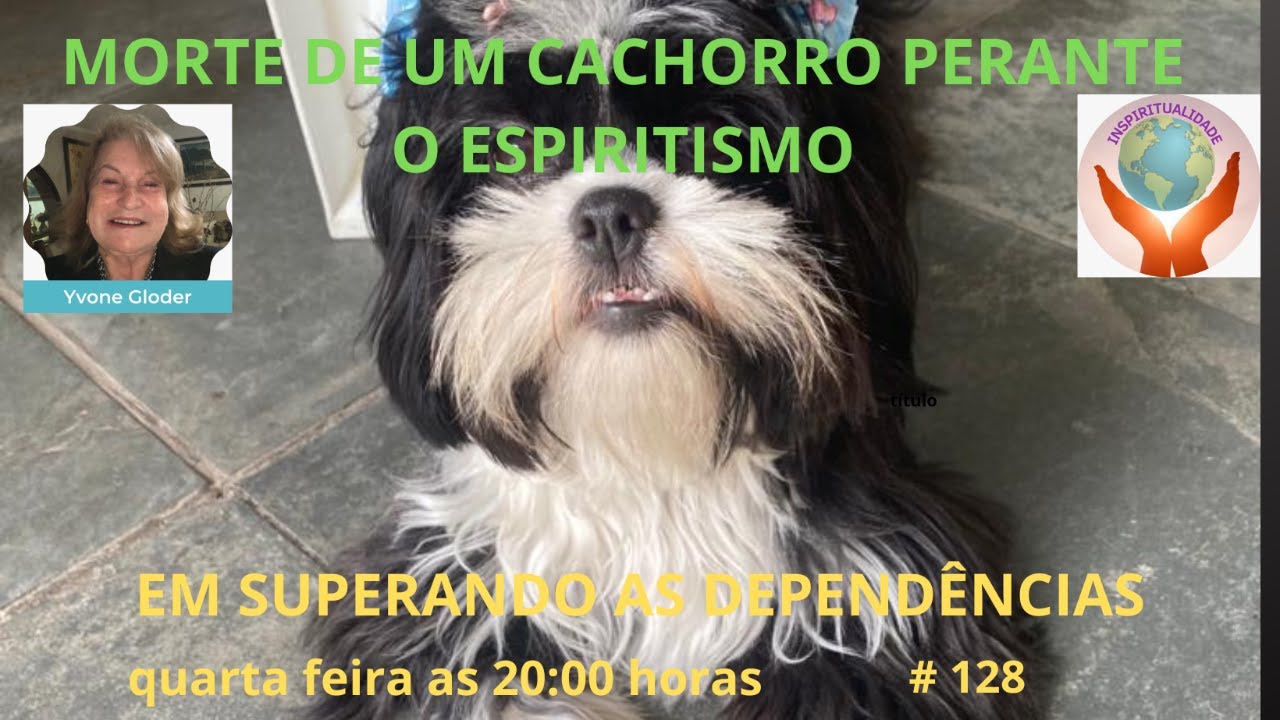 MORTE DE UM CACHORRO PERANTE O ESPIRITISMO