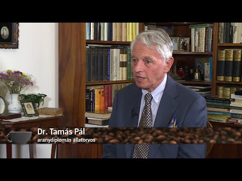 Kávé Kettesben - portréműsor - vendég: Dr. Tamás Pál - 2022.10.04. - Kedd - SopronTV