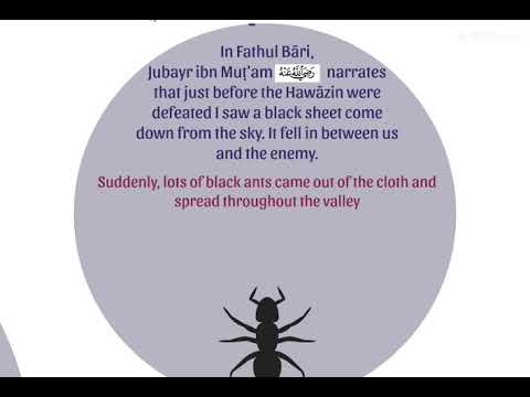 Seerah of the Prophet Muhammad saw Part 32