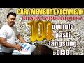 Cara Membuat Kecambah Terlengkap Langsung Dari Ahlinya Kecambah