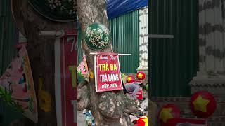 다낭 여행 인생은 지금부터