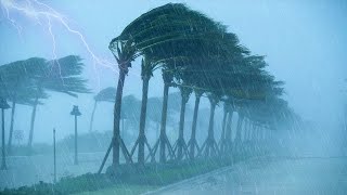 99.99% Say Goodbye to Stress and Sleep Instantly with POWERFUL HURRICANES and THUNDERSTORMS