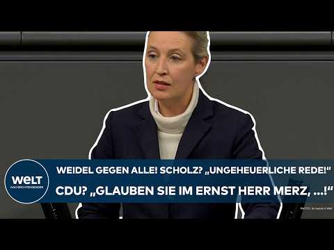 WEIDEL: Gegen alle! "Herr Scholz, eine ungeheuerliche Rede!" CDU? "Glauben Sie im Ernst Herr Merz!"