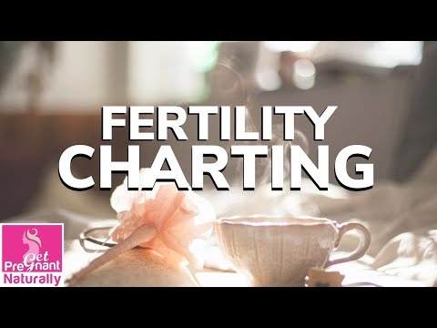 Everything You Need to Know about Fertility Charting | Get Pregnant Naturally