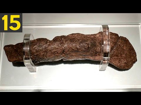 15 Strangest Things Ever Discovered