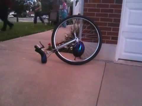 I've got a crush on you-nicycle.