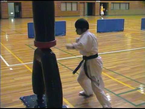 インローマスター(ローキック対応サンドバック)