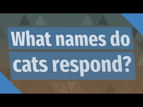 What names do cats respond?