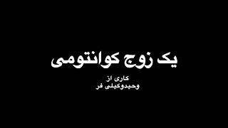 يک زوج کوانتومی فیلمی کوتاه از وحيد وکیلی فر