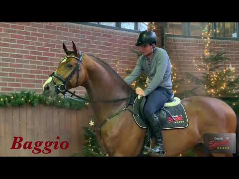 Baggio Christmas Training