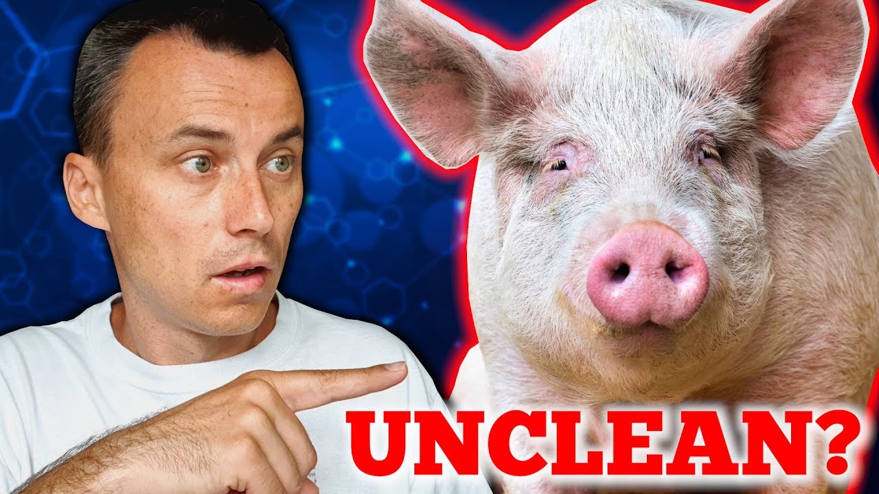 Romans 14:14 "There Is Nothing Unclean" Explained | The Truth Will Surprise You!
