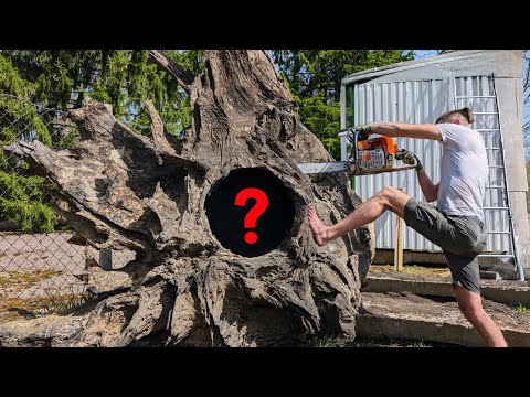 The Most Valuable Wood on Earth: 5,000-Year-Old  Countertops!