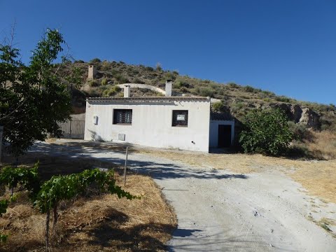 video image