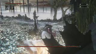 ブラッドボーン　ラスボス倒す配信