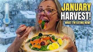 Winter Garden Lunch: Fresh Greens & Homegrown Salad in the Cold