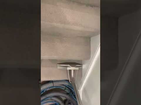 Carpino Carpet Cleaners video.