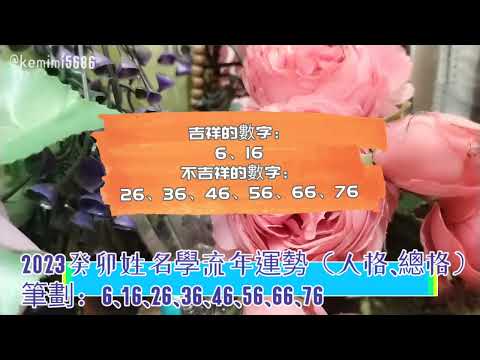 姓名總格36女