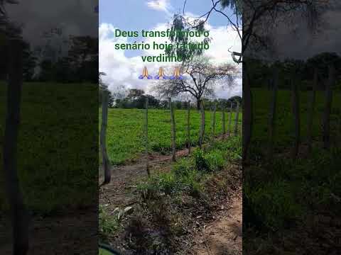 sítio terra nova município de Glória do goita PE