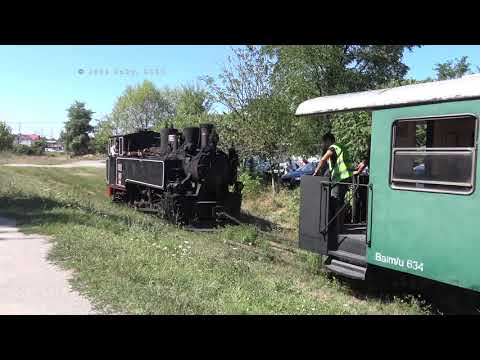 Romanian Narrow Gauge: Criscior - Brad 2019