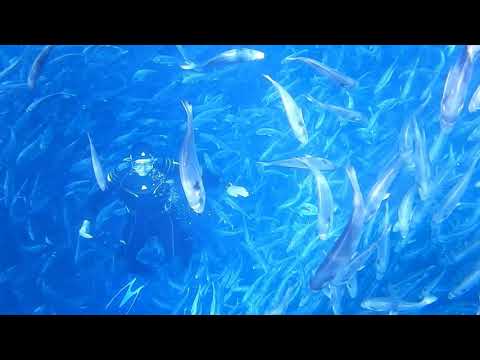 Halki, Greece. Live the Myth